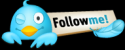 follow twitter